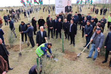 Ümummilli lider Heydər Əliyevin 100 illik yubileyi ilə əlaqədar Sumqayıt şəhərində ağacəkmə aksiyası keçirilib