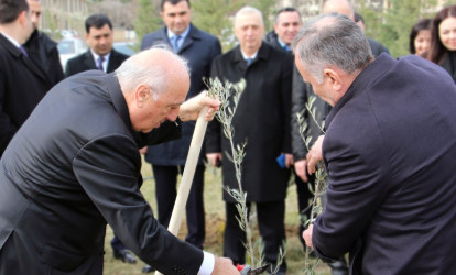 Ümummilli lider Heydər Əliyevin 100 illik yubileyi ilə əlaqədar Sumqayıt şəhərində ağacəkmə aksiyası keçirilib