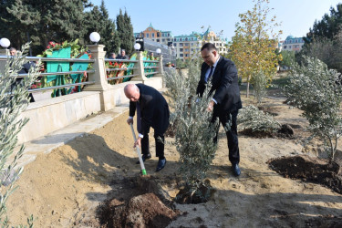 Sumqayıt Şəhidlər xiyabanında 8 Noyabr – Zəfər Günü münasibətilə tədbir keçirilib.