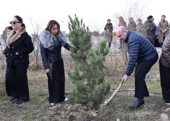 Hacı Zeynalabdin qəsəbəsində ağacəkmə aksiyası keçirilib