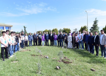 Sumqayıtda “Yaşıl dünya naminə həmrəylik ili” münasibətilə növbəti ağacəkmə aksiyası keçirilib