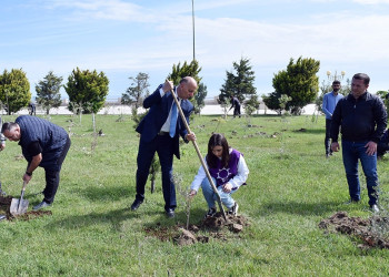 Sumqayıtda “Yaşıl dünya naminə həmrəylik ili” münasibətilə növbəti ağacəkmə aksiyası keçirilib