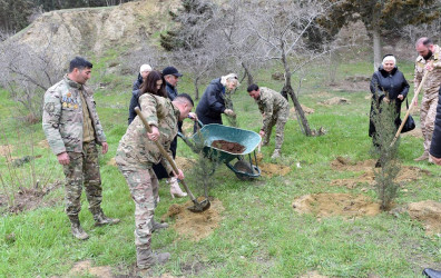Sumqayıt şəhərində növbəti ağacəkmə aksiyası təşkil olunub