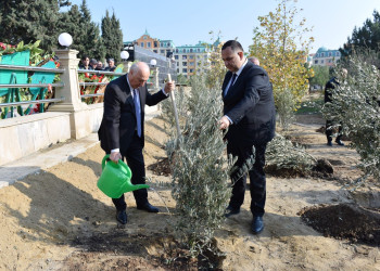 Sumqayıt Şəhidlər xiyabanında 8 Noyabr – Zəfər Günü münasibətilə tədbir keçirilib.