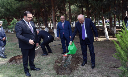 Sumqayıtda Ümummilli Lider Heydər Əliyevin anadan olmasının 101-ci ildönümü qeyd olunub