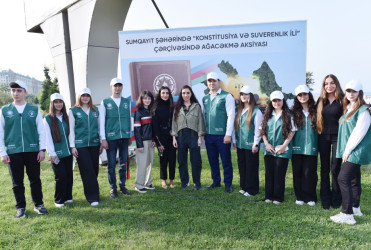 Sumqayıt şəhərində “Konstitusiya və Suverenlik İli” çərçivəsində Sumqayıt Bulvarı ərazisində ağacəkmə aksiyası keçirilib.