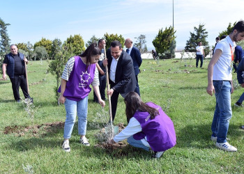 Sumqayıtda “Yaşıl dünya naminə həmrəylik ili” münasibətilə növbəti ağacəkmə aksiyası keçirilib