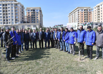 Sumqayıtda “Konstitusiya və Suverenlik İli” çərçivəsində ağacəkmə aksiyası keçirilib