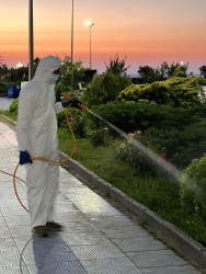 Sumqayıt Bulvarında genişmiqyaslı dezinfeksiya işləri aparılıb