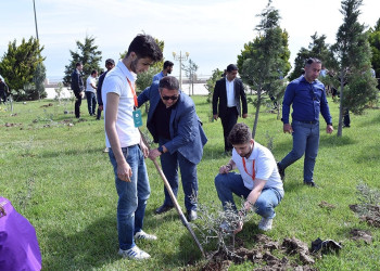 Sumqayıtda “Yaşıl dünya naminə həmrəylik ili” münasibətilə növbəti ağacəkmə aksiyası keçirilib