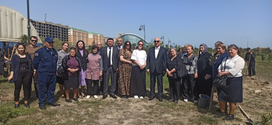 Sumqayıtda Heydər Əliyevin anadan olmasının 101-ci ildönümünə həsr olunmuş ağacəkmə aksiyası keçirilib